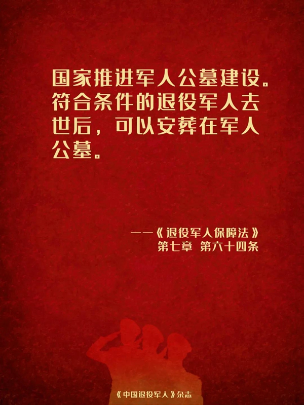 科技重塑荣耀，致敬英雄归来，退役军人法最新动态报道