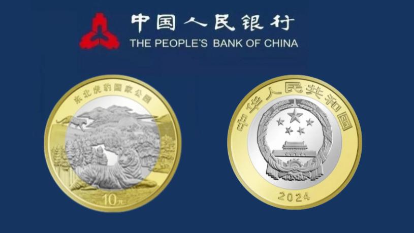 2025年纪念币最新价格与市场走势及收藏价值深度解析