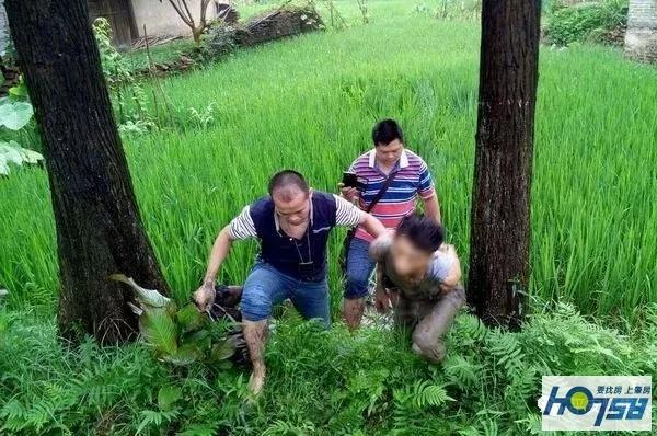 怀集公安新闻最新动态，小巷深处的独特风味