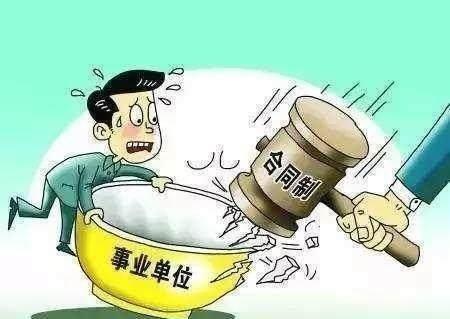 参公单位改革最新动态与友情故事的交织温馨呈现