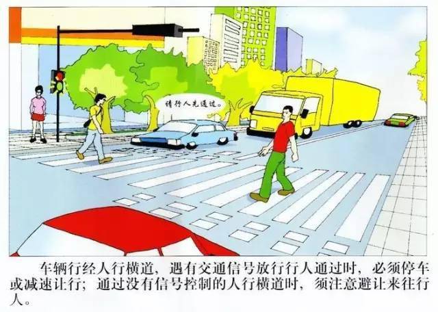 最新交通安全法规大全及观点论述详解
