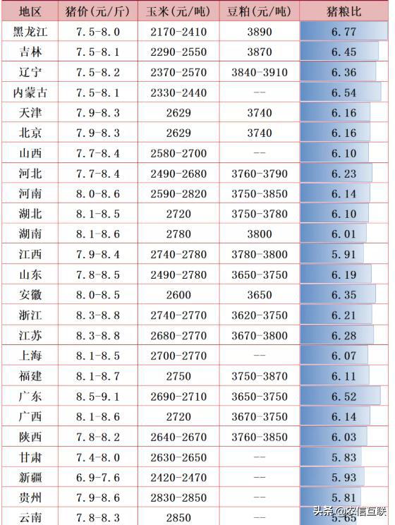 时代波澜下的猪价行情最新动态与价格分析