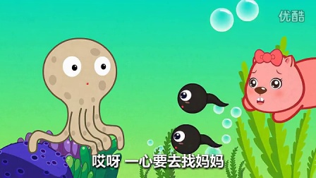 蝌蚪音乐网最新地址揭秘，小巷深处的音乐宝藏探索