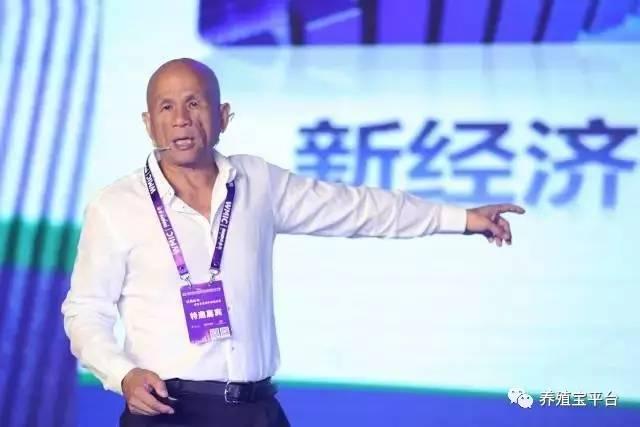 赛伯乐朱敏，心灵与自然的邂逅之旅最新消息