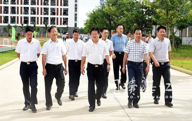雷州市江毅最新消息全解析，获取指南与初学者进阶指南