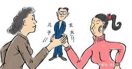 儿媳妇打婆婆，最新法律下的力量与智慧启示