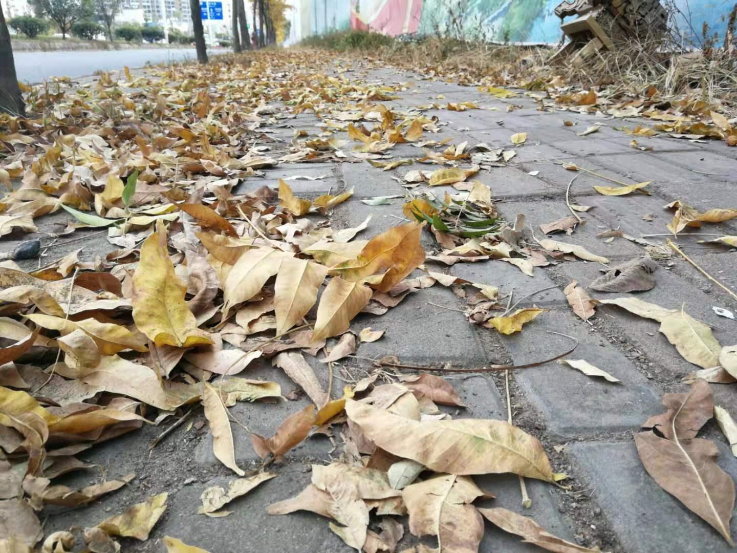 天平高速公路最新线路，自然美景的愉悦探索之旅