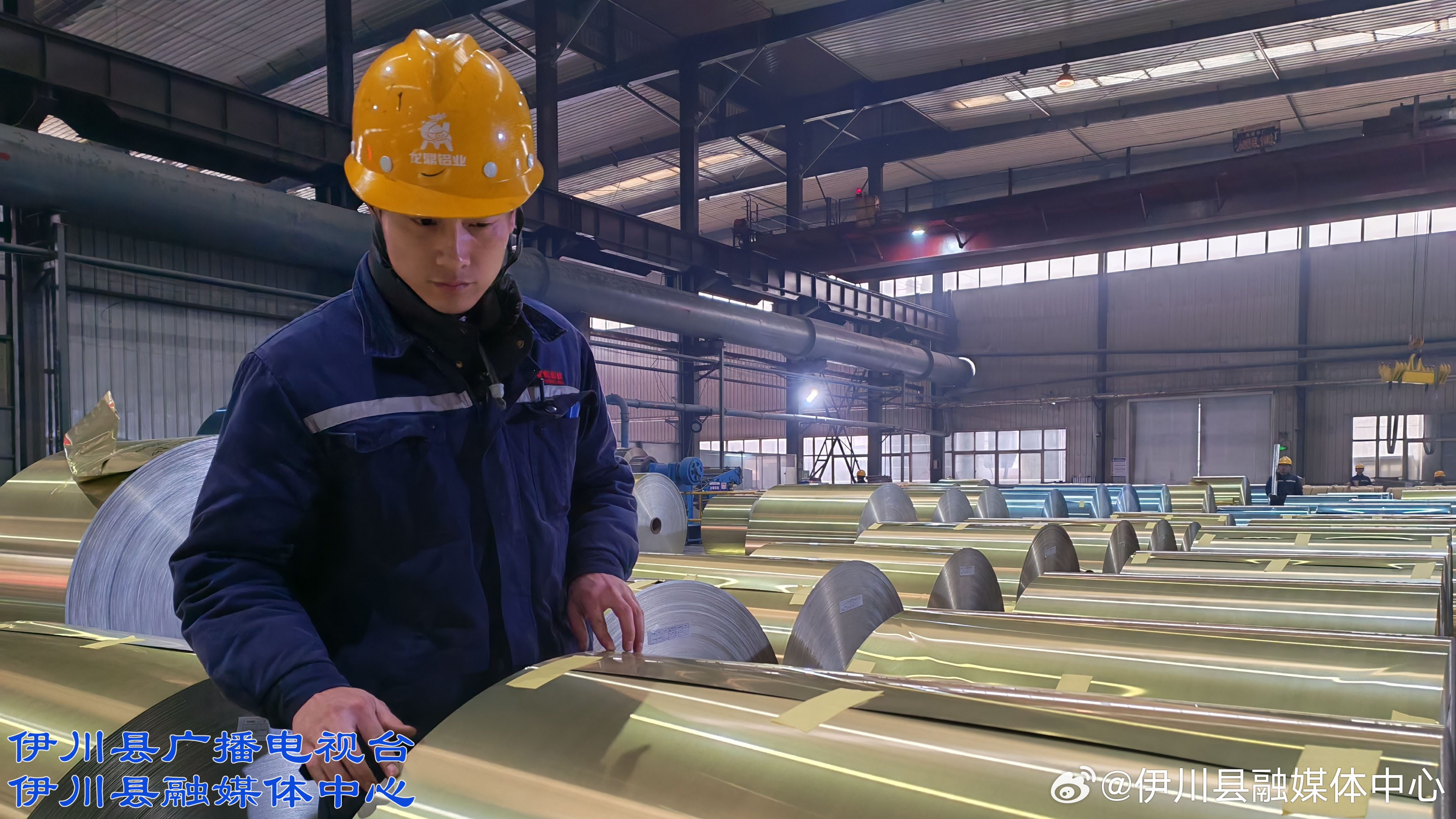 河南同人铝业最新动态，入门指南与技能学习步骤揭秘