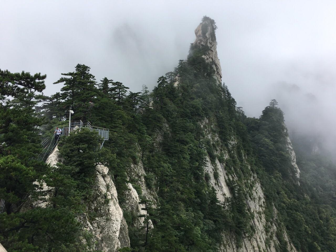 河南非法集资最新动态，自然美景背后的探索与挑战