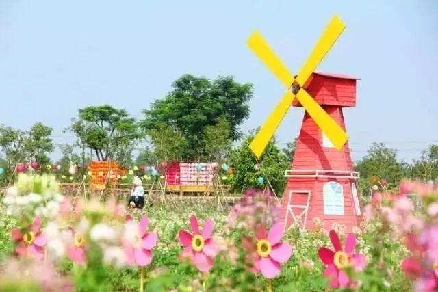 佛山童梦天下，最新动态揭秘，自然美景探索之旅，追寻内心平和与喜悦的旅程