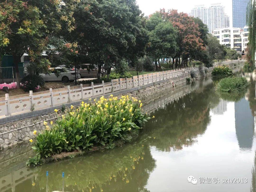 宿州欧陆投资最新动态，与自然美景的邂逅，内心平和之旅启程