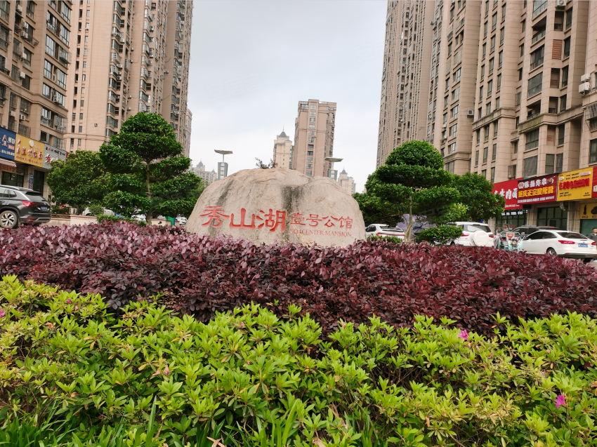 秀山湖一号最新房价揭秘，科技引领未来生活，触手可及的理想居所