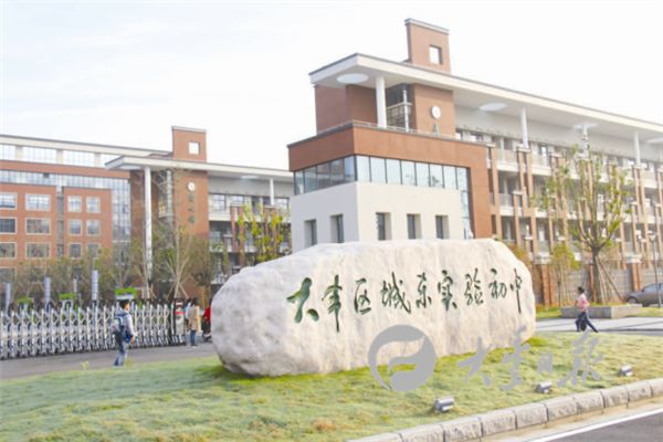 大丰市最新学区划分详解，初学者与进阶用户的指南