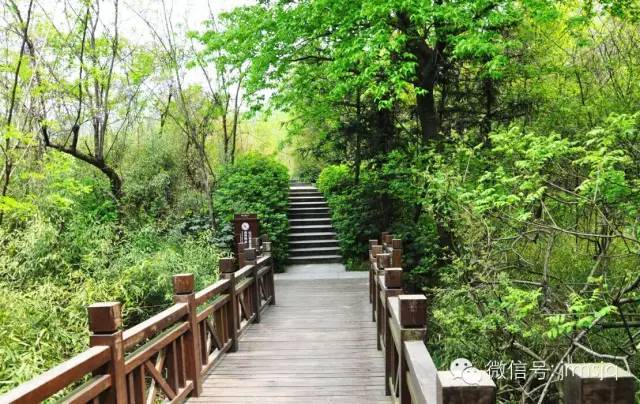 汤旺河卖楼吧，与自然美景的邂逅，探寻内心平和与宁静的居所