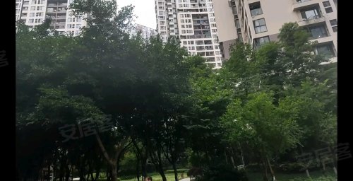 虞城尚城国际最新动态，自然美景探索之旅启幕