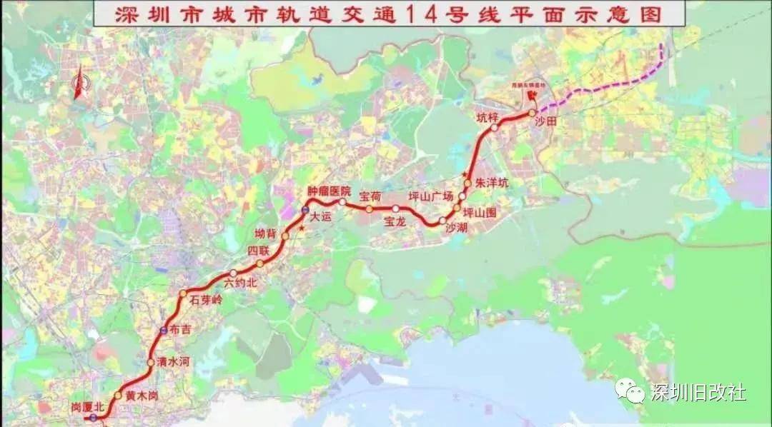 日照小姐一条街的秘密，探寻城市隐秘角落的真相