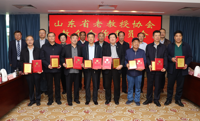 山东老民师最新消息详解，相关论述一览无余