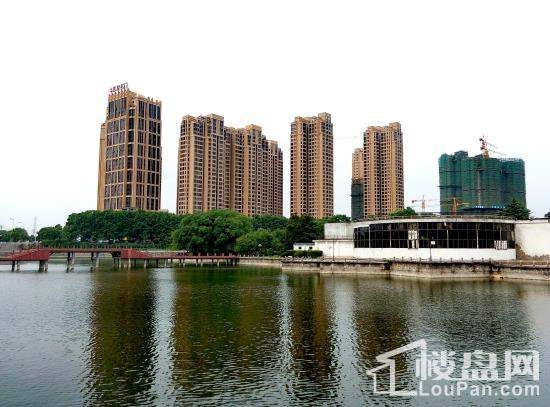 狮山凯旋名门最新动态更新