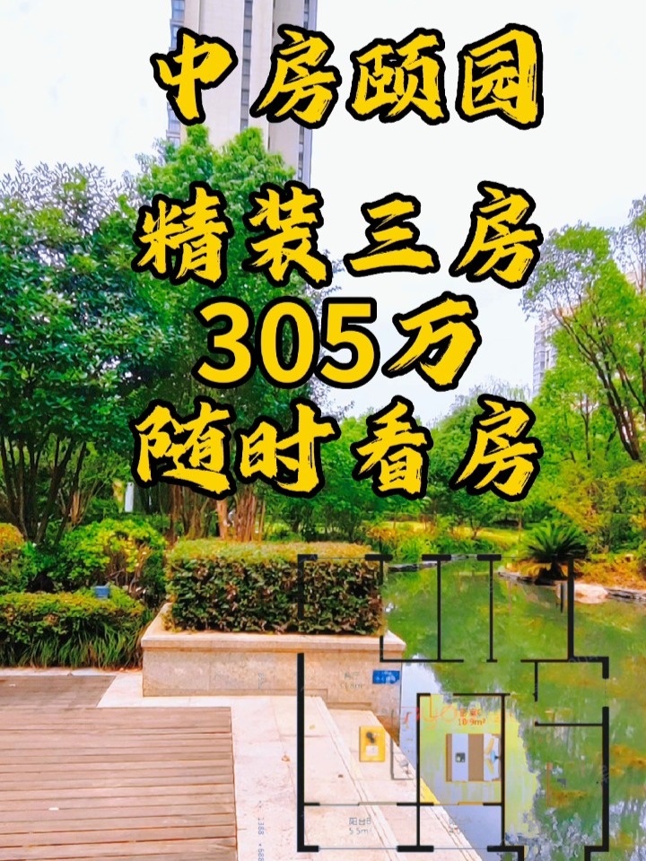 中房颐园最新动态更新，最新消息汇总