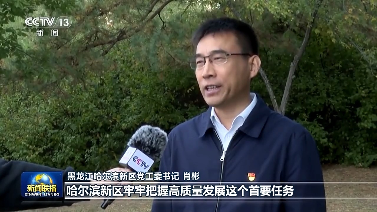 陶淑菊自残事件最新进展，揭秘隐藏特色小店的神秘面纱