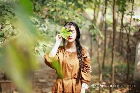 黄星付洁最新章节揭秘，自然美景的治愈之旅探索