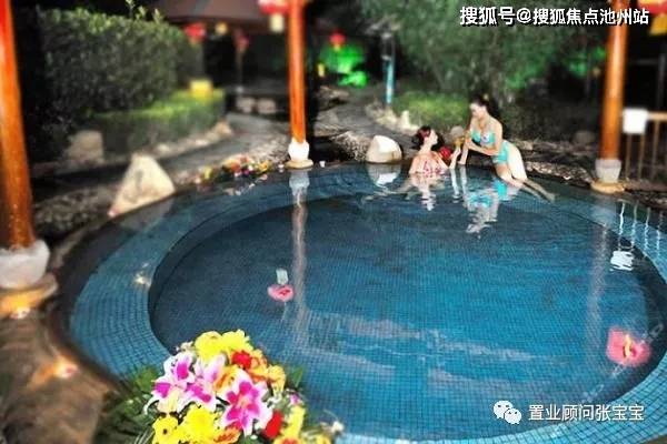 中融民信最新动态深度解析与观点阐述