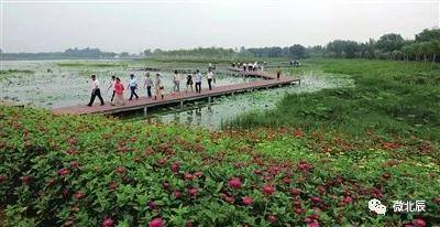 探寻未来自然美景之旅，北辰区西堤头最新规划与内心宁静的寻觅