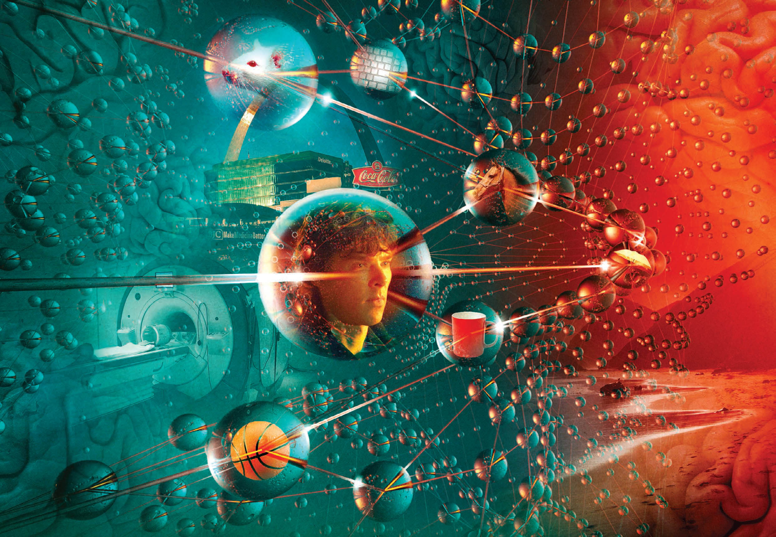 揭秘生命奥秘，最新生物科学前沿动态探索新篇章