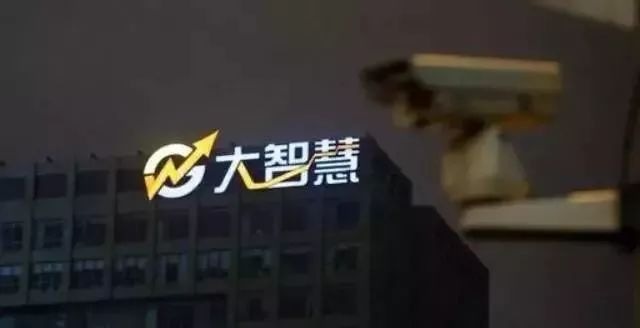 大智慧公司揭秘，小巷中的隐藏瑰宝最新消息
