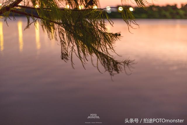 佩恩的自然之旅，寻找内心的平和与宁静