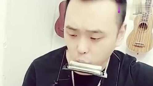 口琴最新资讯，探索音乐的奇妙世界