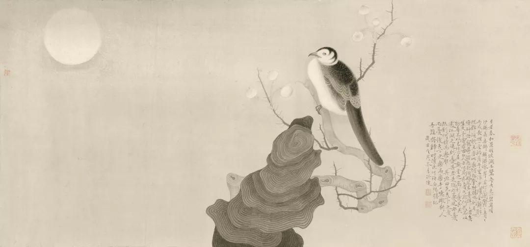 清崎最新观点论述解析