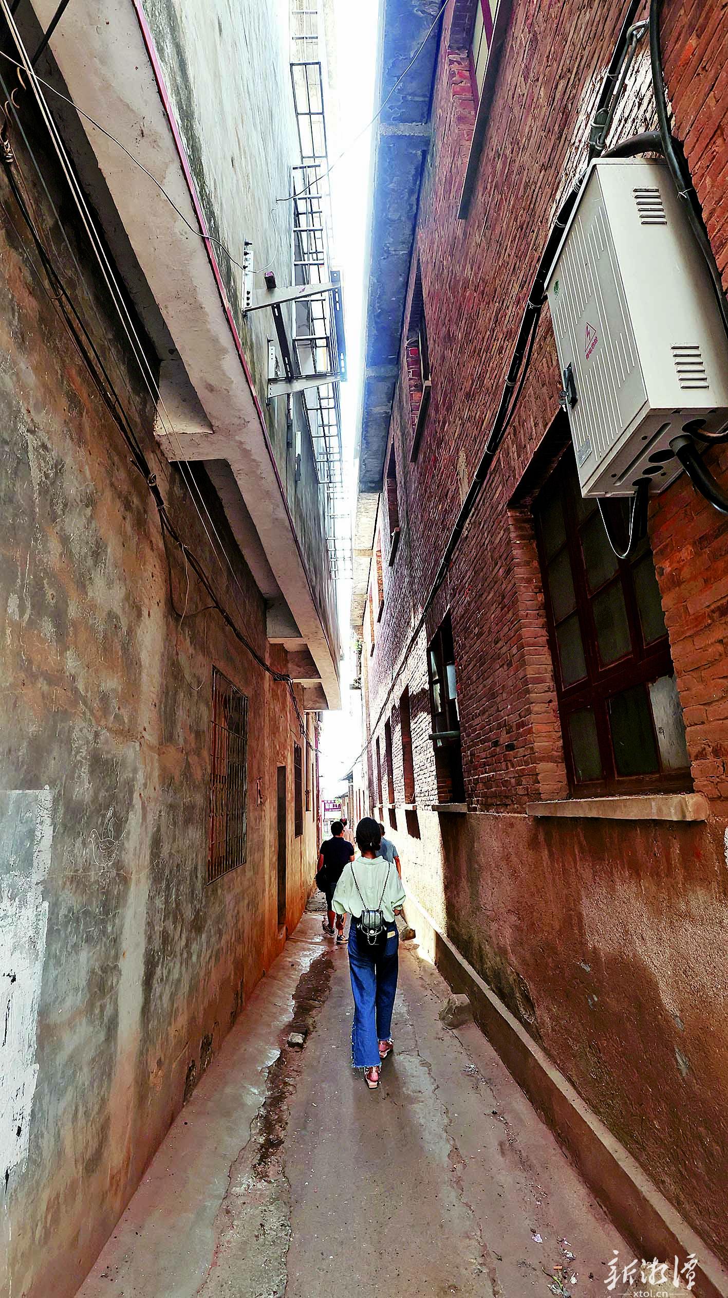 大连最新检测，小巷深处的隐藏瑰宝探索之旅