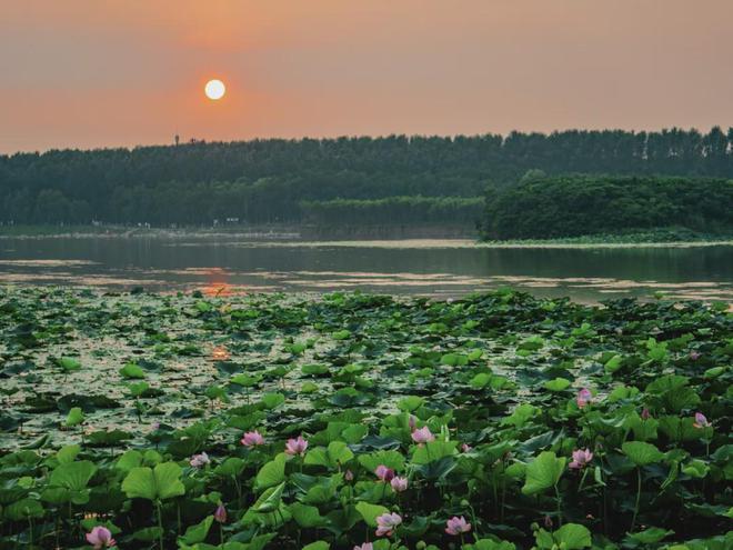 最新丁香湖，自然之旅的心灵觉醒
