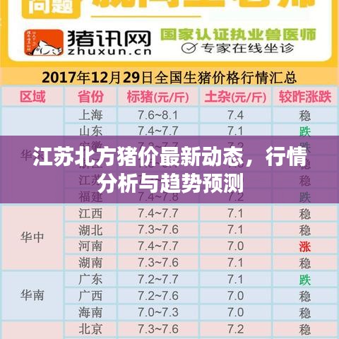 最新猪价动态分析与趋势预测