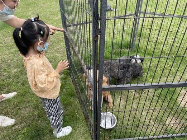 杭州狗主人最新动态报道，关注宠物主人的最新资讯🐾