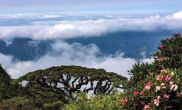 袁善谋最新探索之旅，自然美景的心灵抚慰与内心平和的寻觅