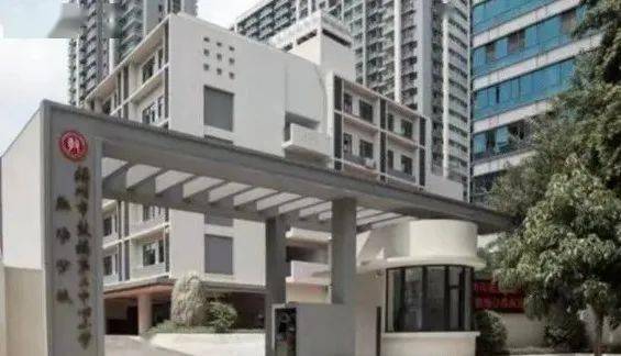 九鼎集团最新公告与小巷深处的独特美食探险之旅