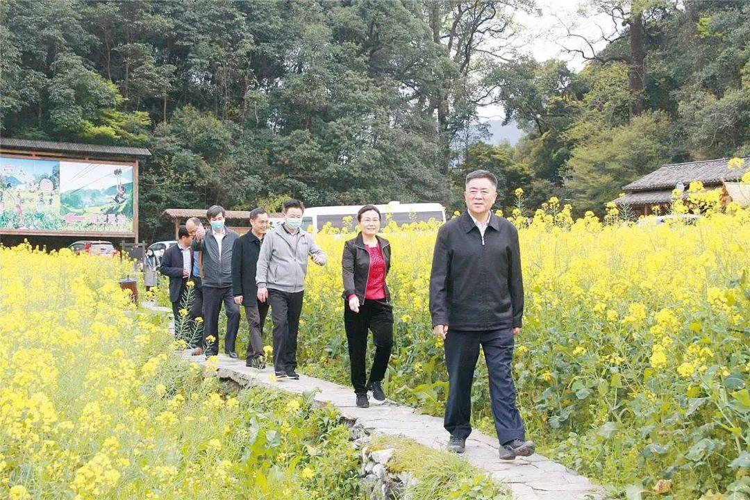 武宁县最新招聘,小巷中的独特机遇,探索无限可能!