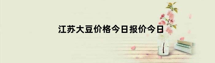 江苏大豆价格最新行情动态及指南