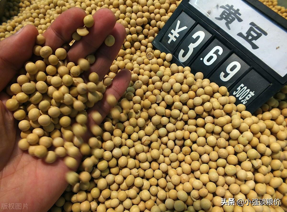江苏大豆价格最新行情动态及指南