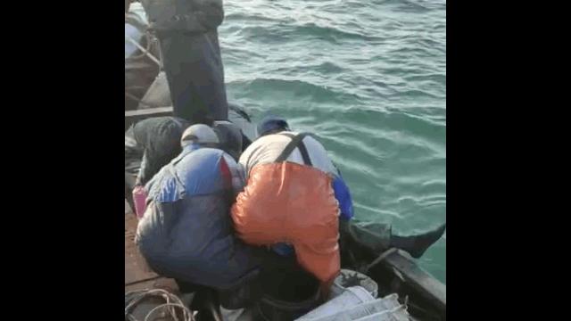 最新船员工资标准,拉近大海与家的距离