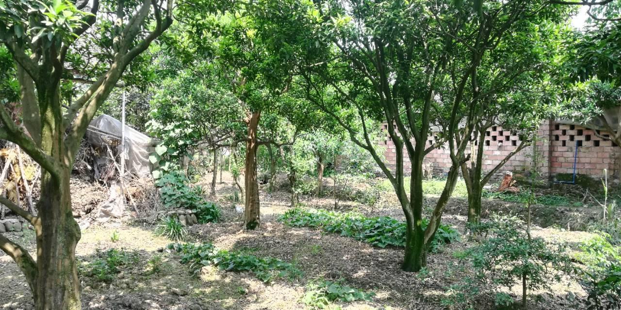 探索游戏经济新领域,最新赚钱网络游戏一网打尽!