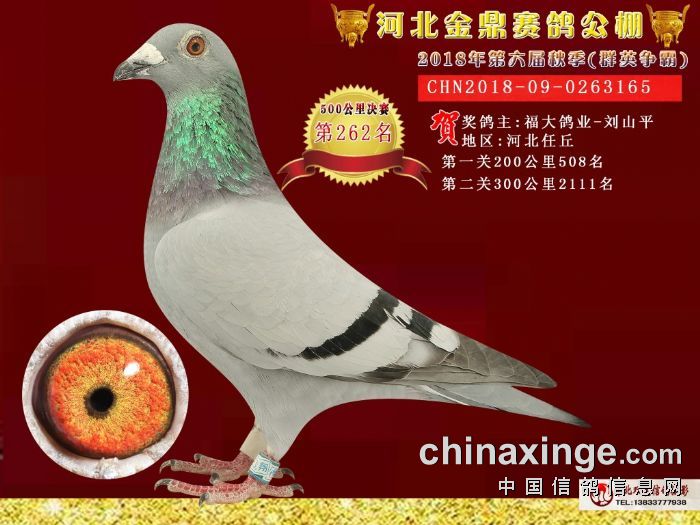 品牌环境系统 第361页