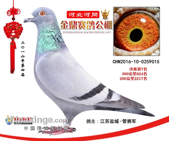 金鼎公棚未来赛事序幕揭晓,最新公告透露未来计划