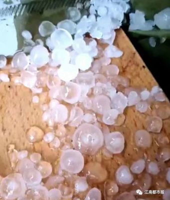 最新冰雹动态解析,全面探讨冰雹现象及其影响