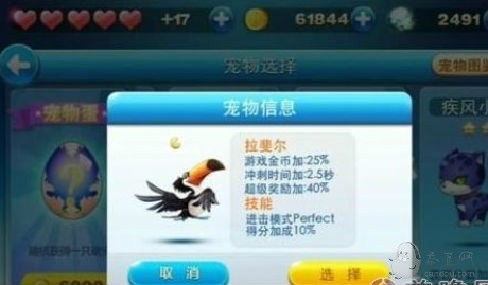 天天酷跑坐骑排名最新揭秘,科技与激情的完美结合