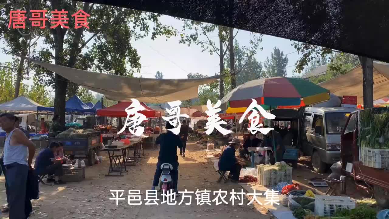 平邑贴吧实时更新,最新消息汇总