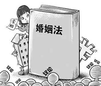 最新新婚姻法变革，拥抱未来的法律与我们同行