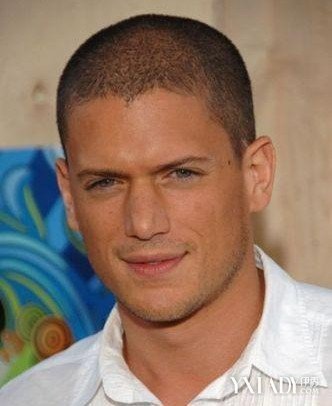 🌟潮流新宠,明星平头风采展露💥